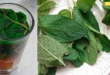 როგორ ვუმკურნალოთ ღვიძლს? ეს აუცილებელია!