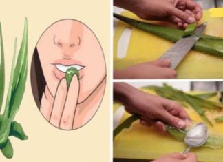 რას ნიშნავს ალოე ვერა ჩვენი ჯანმრთელობისთვის და რატომ უწოდებენ მას ეგვიპტელები უკვდავების მცენარეს?