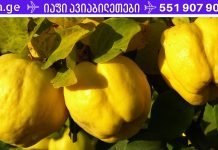 კომში კარგია ჯანმრთელობისთვის: ეს ის ხილია რომელიც კურნავს ყველაფერს!