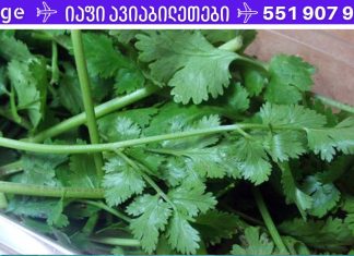 ქინძს შეუძლია ორგანიზმიდან მძიმე მეტალების 80%-მდე ამოღება 42 დღის განმავლობაში. აი, რა უნდა გააკეთო!