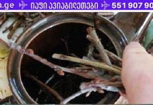 ძალიან მადლობელი ვარ ამ “ჯადოსნური” რეცეპტის – ახლა ღამით ტუალეტში აღარ დავრბივარ!