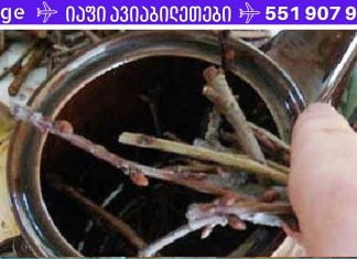 ძალიან მადლობელი ვარ ამ “ჯადოსნური” რეცეპტის – ახლა ღამით ტუალეტში აღარ დავრბივარ!