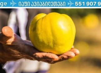კომში ყველაზე სასარგებლო ხილია მთელს მსოფლიოში.. ის უამრავ დაავადებას კურნავს!