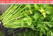 თუ ხერხემლის ოსტეოქონდროზი გაწუხებთ, გამოიყენეთ ეს რეცეპტები! ის დაგეხმარებათ!.