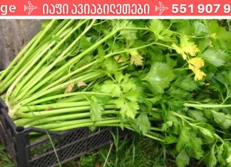 თუ ხერხემლის ოსტეოქონდროზი გაწუხებთ, გამოიყენეთ ეს რეცეპტები! ის დაგეხმარებათ!.