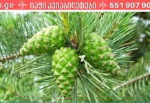 მარტივი რეცეპტი, რომელიც შეამცირებს წნევას მრავალი წლის განმავლობაში! დიახ, ეს ნამდვილი საგანძურია!