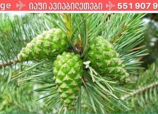 მარტივი რეცეპტი, რომელიც შეამცირებს წნევას მრავალი წლის განმავლობაში! დიახ, ეს ნამდვილი საგანძურია!