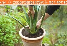 აი რა უნდა იცოდეთ ალოე ვერას წვენის შესახებ