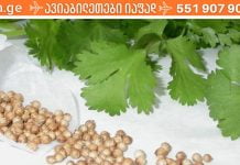 ქინძის თესლი ერთ-ერთი საუკეთესო პროდუქტია ფარისებრი ჯირკვლის სამკურნალოდ. ძალიან ეფექტურია..