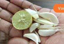 გაიწმინდეთ არტერიები ნივისა და ლიმნის ნარევით! ის ნამდვილად გიშველით!.