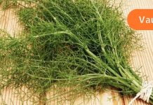 როდის უნდა მივიღოთ და როდის ვერიდოთ კამის გამმოყენებას? ეს უნდა იცოდეთ!