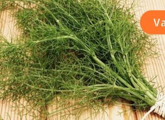 როდის უნდა მივიღოთ და როდის ვერიდოთ კამის გამმოყენებას? ეს უნდა იცოდეთ!