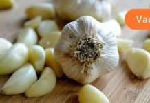 ნიორი, როგორც წამალი: სამკურნალო თვისებები, რომელიც ყველამ უნდა იცოდეს