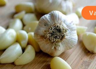 ნიორი, როგორც წამალი: სამკურნალო თვისებები, რომელიც ყველამ უნდა იცოდეს