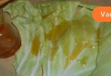 გააკეთეთ ხველისა და ბრონქიტის საწინააღმდეგო ნაყენი კომბოსტოს ფოთლითა და თაფლით!! მიი შედეგი განგაცვიფრებთ..