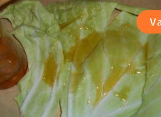 გააკეთეთ ხველისა და ბრონქიტის საწინააღმდეგო ნაყენი კომბოსტოს ფოთლითა და თაფლით!! მიი შედეგი განგაცვიფრებთ..