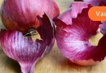 აი, რატომ არ უნდა გადააგდოთ წითელი ხახვის კანი: მათ შეუძლიათ სასწაულების მოხდენა თქვენი ჯანმრთელობისთვის!