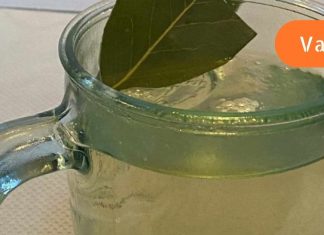 ამ მცენარისგან დამზადებული სასმელი წმენდს ორგანიზმს ტოქსინებისა და მარილისგან. ამის შესახებ ბევრმა უნდა იცოდეს!