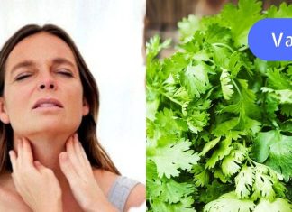 ქინძი დაგეხმარებათ ფარისებრი ჯირკვლის მკურნლობაში სულ რაღაც 8 დღეში