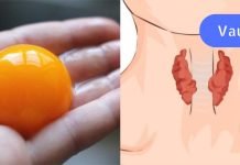 ფარისებრი ჯირკვლის პრობლემები გაწუხებთ? აუცილებლად მიირთვით დღეში მინიმუმ 1 კვერცხის გული.