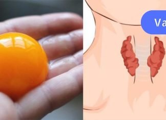 ფარისებრი ჯირკვლის პრობლემები გაწუხებთ? აუცილებლად მიირთვით დღეში მინიმუმ 1 კვერცხის გული.