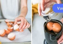 გამოიყენეთ კვერცხის ნაჭუჭი გულისა და ძვლების ჯანმრთელობისთვის! ამ სტატიის მერე მას ნაგავში აღარ გადააგდებთ..