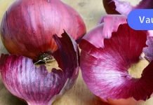 თუ წითელი ხახვის კანს აგდებთ, ძალიან დიდ შეცდომას უშვებთ. მას შეუძლია უამრავი დაავადების განკურნება..