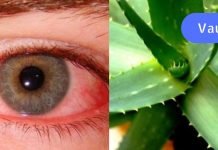 დიდი ხნის მანძილზე მტანჯავდა გლაუკომა. ბოლოს სახლში ვიპოვე ხალხური მედიცინის წიგნი და მასში აღმოვაჩინე სამკურნალო რეცეპტები. ერთხელ და სამუდამოდ განვთავისუფლდი ამ მტანჯველი პრობლემისგან..