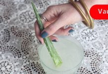 მხედველობის აღდგენა ალოეს საშუალებით. ხალხური საშუალება აკადემიკოს ფილატოვისგან.