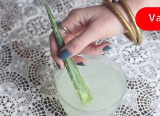 მხედველობის აღდგენა ალოეს საშუალებით. ხალხური საშუალება აკადემიკოს ფილატოვისგან.