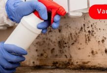 სახლში ობს ძმრით ვაშორებ! ამაზე ეფექტური საშუალება არ არსებობს..