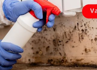 სახლში ობს ძმრით ვაშორებ! ამაზე ეფექტური საშუალება არ არსებობს..