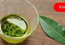 ვარიკოზული ვენების სამკურნალოდ გამოიყენეთ დაფნის ფოთოლი! ამაზე ეფექტური საშუალება არ არსებობს!