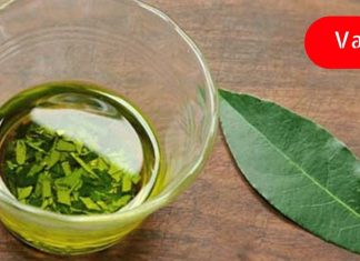 ვარიკოზული ვენების სამკურნალოდ გამოიყენეთ დაფნის ფოთოლი! ამაზე ეფექტური საშუალება არ არსებობს!