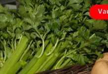 თუ ყოველ დღე ნიახურს შეჭამ, შენი ჯანმრთელობა მკვეთრად გაუმჯობესდება.. აი რა დაავადებას ურნავს ის…