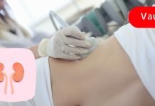 ჯანმრთელი თირკმლების შესანარჩუნებლად, აუცილებელია ამ რჩევებისგათვალისწინება! ეს მნიშვნელოვანია!!