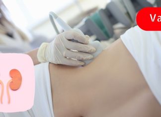 ჯანმრთელი თირკმლების შესანარჩუნებლად, აუცილებელია ამ რჩევებისგათვალისწინება! ეს მნიშვნელოვანია!!