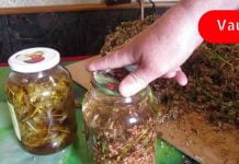 უძილობის დროს მე ამ ნაყენს ვიყენებდი. ამის შემდეგ შევძელი მშვიდად დაძინება..