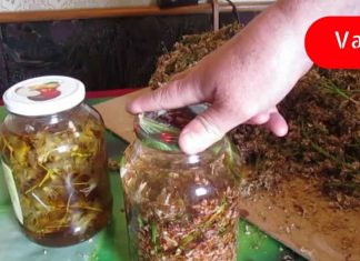 უძილობის დროს მე ამ ნაყენს ვიყენებდი. ამის შემდეგ შევძელი მშვიდად დაძინება..