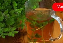 დალიე კვირაში 3-ჯერ ეს ნახარში და ექიმთან წასვლა აღარასოდეს დაგჭირდება!