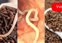 მე ამ მეთოდით ორგანიზმიდან ჭიები 1 თვეში გამოვდევნე! თუ ეს პრობლემა შენც გაწუხებს, გირჩევ სცადო!