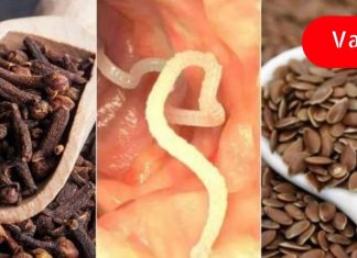 მე ამ მეთოდით ორგანიზმიდან ჭიები 1 თვეში გამოვდევნე! თუ ეს პრობლემა შენც გაწუხებს, გირჩევ სცადო!