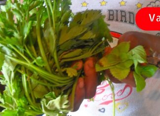 ეს მწვანილი ამცირებს ანთებას, აუმჯობესებს სახსრების ჯანმრთელობას და ამცირებს ქოლესტერინს. დაამატეთ თქვენს რაციონს!