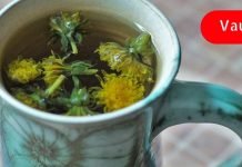 როგორი სასარგებლო ყოფილა ბაბუაწვერას ჩაი! ეს აქამდე რატომ არ ვიცოდი!