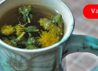 როგორი სასარგებლო ყოფილა ბაბუაწვერას ჩაი! ეს აქამდე რატომ არ ვიცოდი!