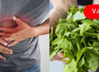 გაიწმინდეთ ღვიძლი და მოიშორეთ დაგროვილი ტოქსინები! ეს ძალიან მნიშვნელოვანია თქვენი ჯანმრთელობისთვის!