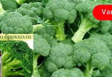 ზეთი, რომელიც აქრობს ნაოჭებს და ანელებს დაბერებას! გაგიკვირდებათ მისი ეფექტურობა!