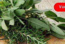 ამ ბალახების კომბინაცია დაგეხმარებათ მუხლის ხრტილის აღდგენაში! ჩაინიშნეთ რეცეპტი!