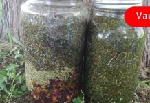 მე სისხლძარღვები ამ ნარევით გავიწმინდე! ამან შემინარჩუნა ახალგაზრდობა!