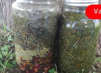 მე სისხლძარღვები ამ ნარევით გავიწმინდე! ამან შემინარჩუნა ახალგაზრდობა!